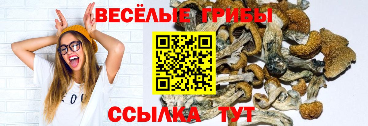 Псилоцибиновые грибы Psilocybine cubensis  Псилоцибиновые грибы Magic Shrooms  Кубинка  Вход с VPN 