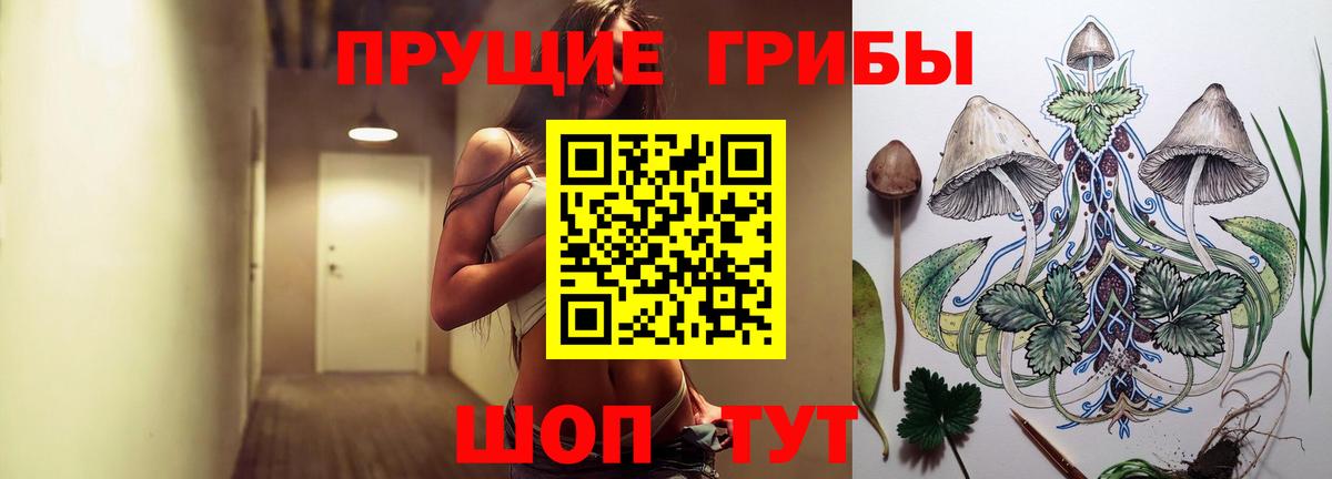 Галлюциногенные грибы Psilocybine cubensis Кубинка
